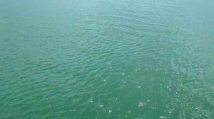 Рыбалка на Каспии. Ловля кутума в апреле #рыбалка #каспий #sea