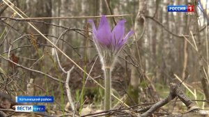 «Орловское полесье». Мир редких растений