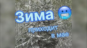 Весна проснись… Зима наглеет!!!