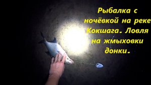 Рыбалка на Закидушки. Ловля на жмых (макуху), на донки. Рыбалка с ночевкой. #Рыбалка