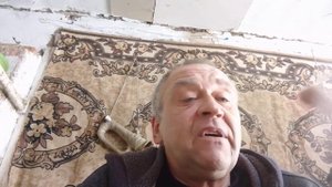 сорт Пергей