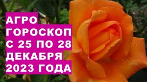 Агрогороскоп с 25 по 28 декабря 2023 года. Agrohoroscope from December 25 to 28, 2023