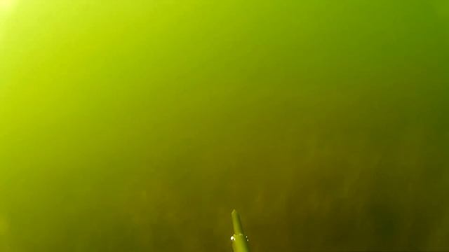 2 трофея / подводная охота в Челябинской области / 2 trophy / spearfishing смотреть онлайн