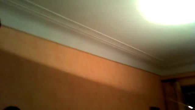 летучая мышь в питерской квартире смотреть онлайн