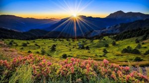 Утренняя молитва о исцелении крови на русском языке