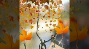 Осень под зонтиком !