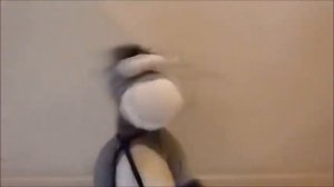 Crazy Dancing Donkey HD audio