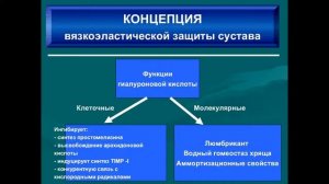 Актуальные вопросы консервативного лечения  гонартроза.1часть