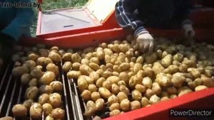 Grimme SE 75-30 Копка картофеля