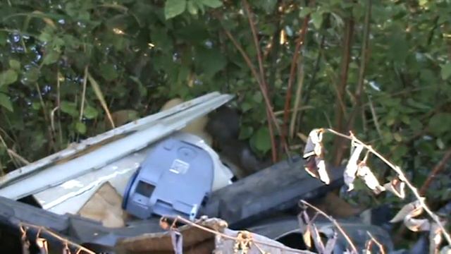 стадион после 3 лет ремонта и беговая дорожка смотреть онлайн