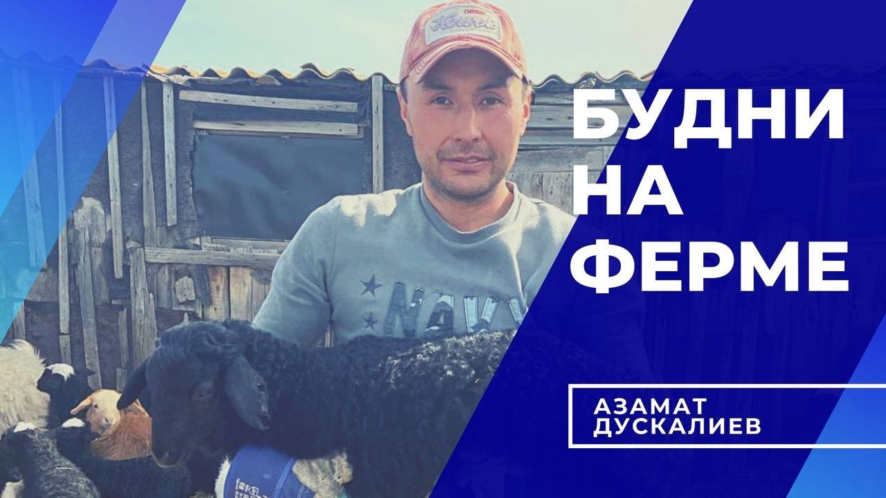 НА ФЕРМЕ С АЗАМАТОМ | ПРИКЛЮЧЕНИЯ ЯГНЕНКА ВАСИ