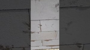 Лиски газосиликат газоблок Лиски Аэроблок отзыв