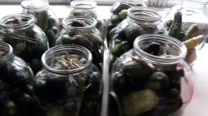 Соленые огурцы на зиму.  Все просят этот простой рецепт.