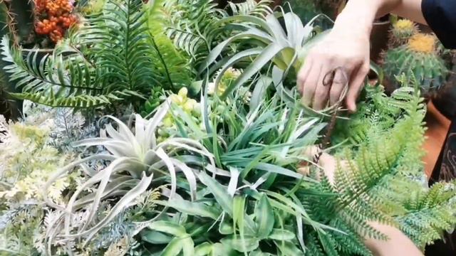 🎁"Unboxing & Styling Tips"🤩Deluxe Evergreen Wall Art·Tillandsia Vertical Garden Disc (60cm)🌿 смотреть онлайн