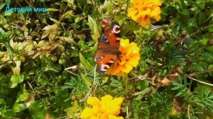 Пословицы, поговорки и приметы про осень детям. Пословицы об осени #поговорки#осень#пословицы