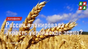 Россия ещё до СВО планировала украсть украинское зерно – Independent