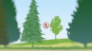 Социальный видеоролик Министерства по природопользованию и экологии Республики Карелия