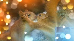 Группа Республика КОГДА ТЫ ДАРИШЬ ЛЮБОВЬ