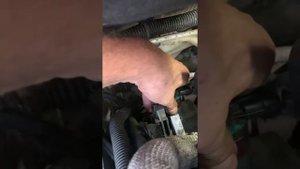 Клапан тиску палива в тнвд sitroen berlingo 1.6hdi