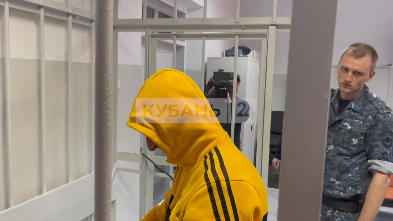 Обвиняемого в убийстве аниматоров в Краснодарском крае Демьяна Кеворкьяна отправили под арест