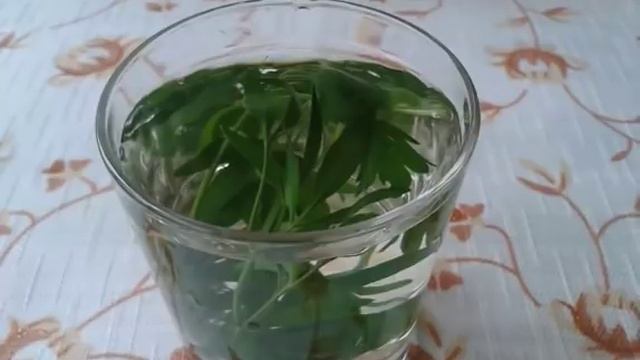 Только Посмотри, Как Камни Выходят Из Почек С Помощью Этого Натурального Средства! Оно может помочь смотреть онлайн