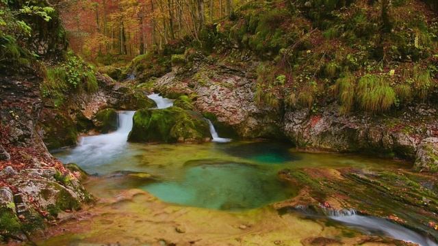 Невестка с характером. Случай из жизни. Аудиорассказ.