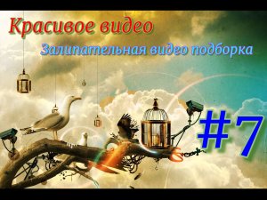 Красивое видео / Залипательная видео подборка #7