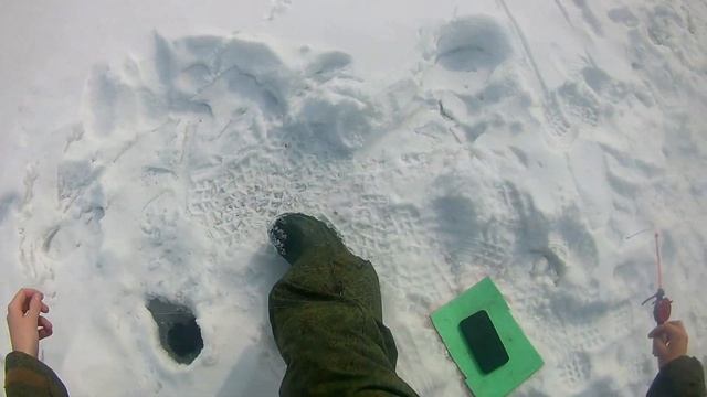 Затон СРЗ-Омск!Пытаюсь найти подлещика,но он хитрый! смотреть онлайн