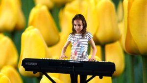 "Жёлтые тюльпаны"