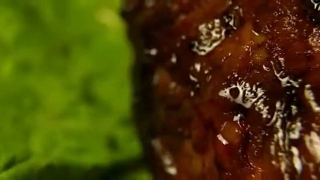 Ужин кочевников лучший гриль ягненок смотреть онлайн