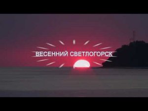 Весенний Светлогорск