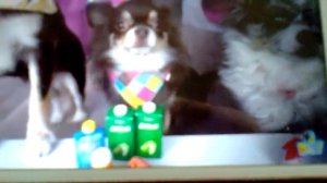 Юми и Алиса ИДУТ в ШКОЛУ ПОКЕМОН и КИСААЛИСА