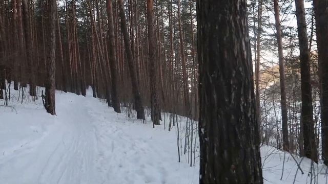 ФУД VLOG /ВКУСНЫЙ САЛАТ/ РЫБА ПОД ШУБКОЙ/БЕСЕДА В ЛЕСУ ПРО ЭМИГРАЦИЮ ИЗ РОССИИ смотреть онлайн