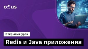 Redis и Java приложения // Демо-занятие курса «Java Developer. Professional»