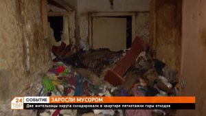 Плюшкины 21 века