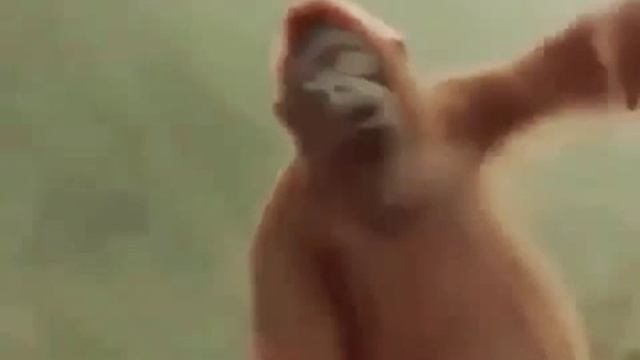 Обезьяна тонцует это говорит о том что в субботу нужно оддыхать смотреть онлайн