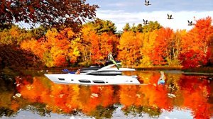 Видеофоны!!! Видеофон Осенний пейзаж с листопадом!!! Футаж Осенний пейзаж для монтажа видео!!!