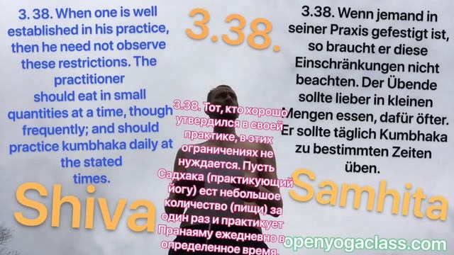 3.38. Шива Самхита Английский Немецкий методом Мантра Йоги смотреть онлайн