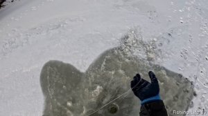 ЭТА СНАСТЬ ЛОВИТ ВЕЗДЕ!!! УДАЧНАЯ РЫБАЛКА НА ХАПУГИ. КРУПНЫЙ КАРАСЬ НА ОМУТЕ.