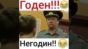 Годен ты Негоден