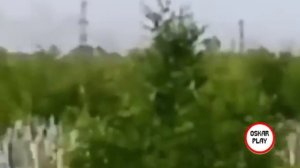 Атака НЛО в Украине