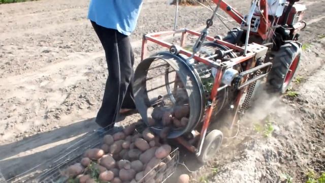 Картофелекопалка барабанного типа к мотоблоку с контейнером для сбора картофеля часть 3. смотреть онлайн