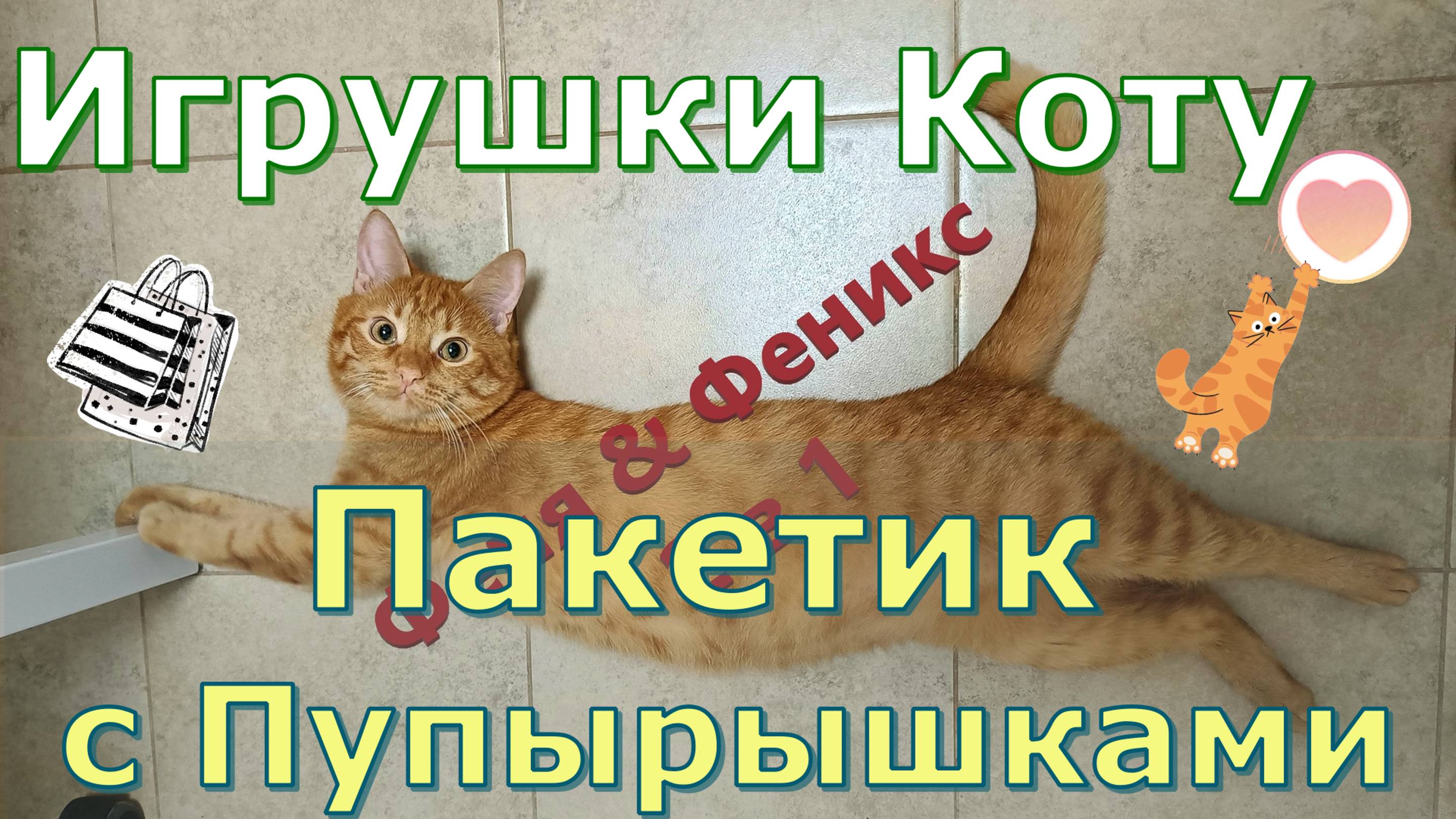 Пакетик с Пупырышками. Игрушки Коту. Кот Феня, он же Феникс