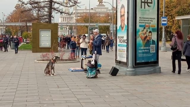 ВДНХ # УМНАЯ СОБАКА ПОДПЕВАЕТ МУЗЫКАНТУ # МОСКВА.