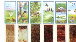 Страница 66 Рабочая тетрадь по окружающему миру за 4 класс 1 часть Плешаков Школа России