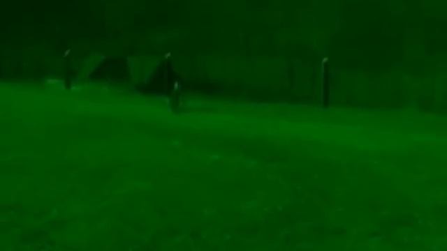 Видео Чупакабры - реальные ночные съемки смотреть онлайн