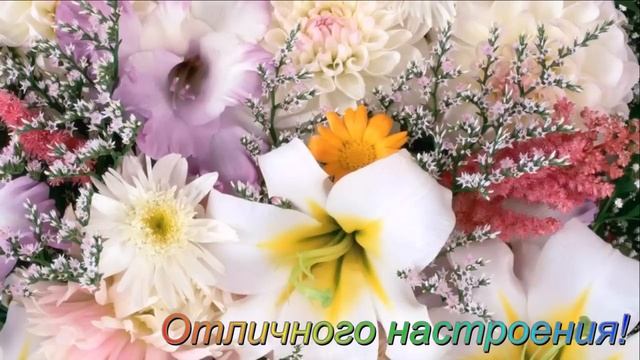 С Днём Рождения, Ирина Александровна!
