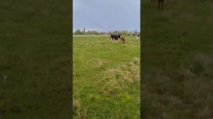 путь домой.