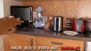 ВСЕ ПЕСНИ БРАЙНА МАПСА