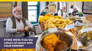 Dying wool from the colours of nature with Colm Sweeney. Heritage Centre, Ardara